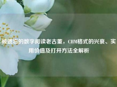 被遗忘的数字阅读老古董，CHM格式的兴衰、实用价值及打开方法全解析