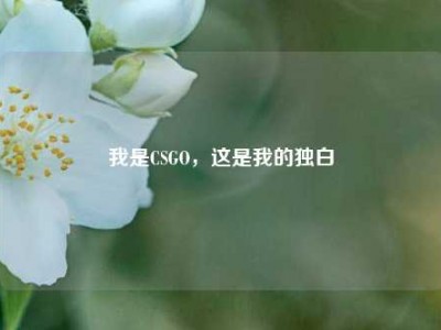 我是CSGO，这是我的独白