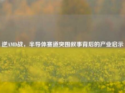 逆AMD战，半导体赛道突围叙事背后的产业启示