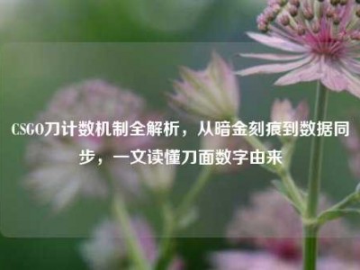 CSGO刀计数机制全解析，从暗金刻痕到数据同步，一文读懂刀面数字由来