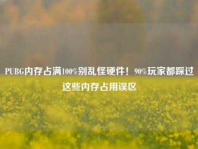 PUBG内存占满100%别乱怪硬件！90%玩家都踩过这些内存占用误区