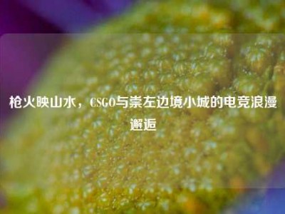 枪火映山水，CSGO与崇左边境小城的电竞浪漫邂逅