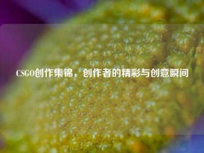 CSGO创作集锦，创作者的精彩与创意瞬间