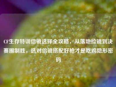 CF生存特训倍镜选择全攻略，从落地捡镜到决赛圈制胜，选对倍镜搭配好枪才是吃鸡隐形密码