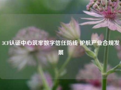 3CF认证中心筑牢数字信任防线 护航产业合规发展