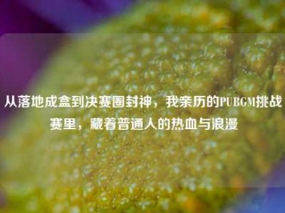从落地成盒到决赛圈封神，我亲历的PUBGM挑战赛里，藏着普通人的热血与浪漫