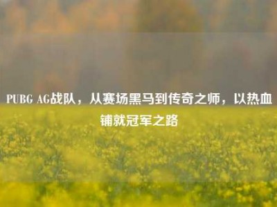 PUBG AG战队，从赛场黑马到传奇之师，以热血铺就冠军之路