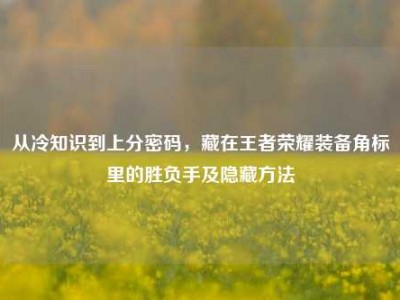 从冷知识到上分密码，藏在王者荣耀装备角标里的胜负手及隐藏方法
