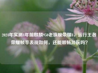 2024年实测8年前麒麟950老旗舰荣耀8，运行王者荣耀帧率表现如何，还能顺畅游玩吗？