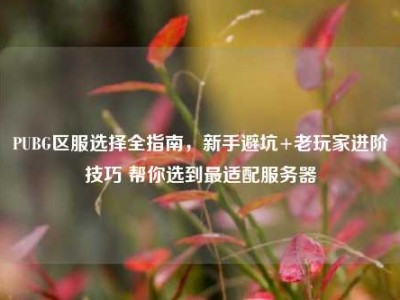 PUBG区服选择全指南，新手避坑+老玩家进阶技巧 帮你选到最适配服务器