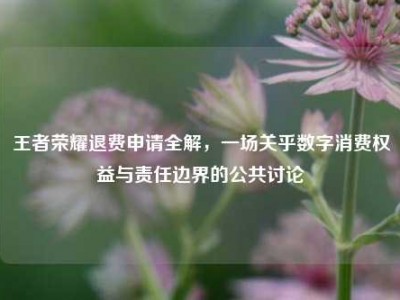 王者荣耀退费申请全解，一场关乎数字消费权益与责任边界的公共讨论