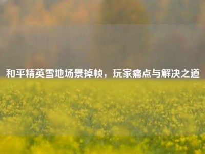 和平精英雪地场景掉帧，玩家痛点与解决之道