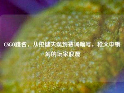 CSGO跳名，从按键失误到赛场暗号，枪火中镌刻的玩家浪漫