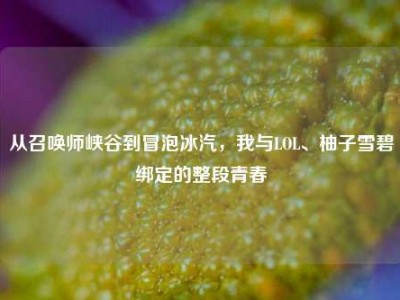 从召唤师峡谷到冒泡冰汽，我与LOL、柚子雪碧绑定的整段青春