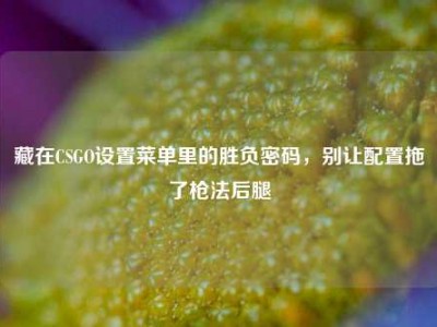 藏在CSGO设置菜单里的胜负密码，别让配置拖了枪法后腿