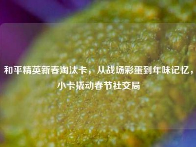 和平精英新春淘汰卡，从战场彩蛋到年味记忆，小卡撬动春节社交局
