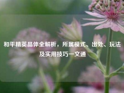 和平精英晶体全解析，所属模式、出处、玩法及实用技巧一文通