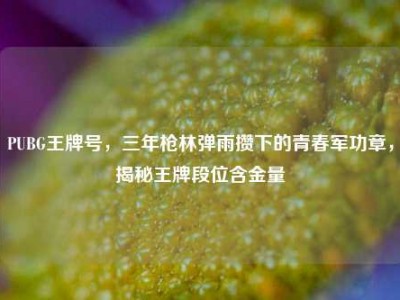 PUBG王牌号，三年枪林弹雨攒下的青春军功章，揭秘王牌段位含金量