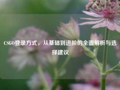 CSGO登录方式，从基础到进阶的全面解析与选择建议