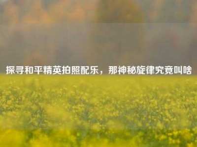 探寻和平精英拍照配乐，那神秘旋律究竟叫啥