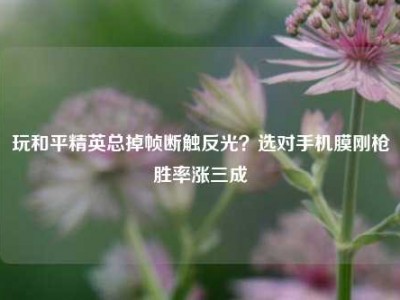 玩和平精英总掉帧断触反光？选对手机膜刚枪胜率涨三成