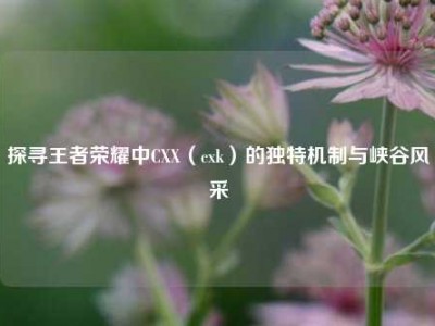 探寻王者荣耀中CXX（cxk）的独特机制与峡谷风采