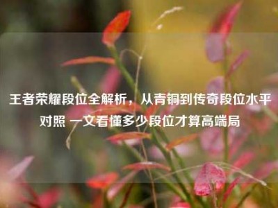 王者荣耀段位全解析，从青铜到传奇段位水平对照 一文看懂多少段位才算高端局