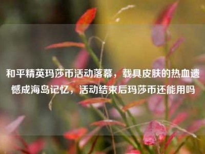 和平精英玛莎币活动落幕，载具皮肤的热血遗憾成海岛记忆，活动结束后玛莎币还能用吗
