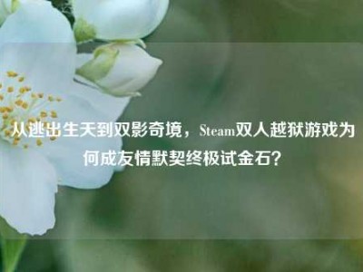 从逃出生天到双影奇境，Steam双人越狱游戏为何成友情默契终极试金石？