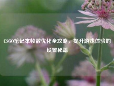 CSGO笔记本帧数优化全攻略，提升游戏体验的设置秘籍