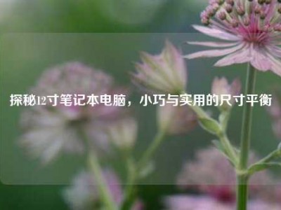 探秘12寸笔记本电脑，小巧与实用的尺寸平衡
