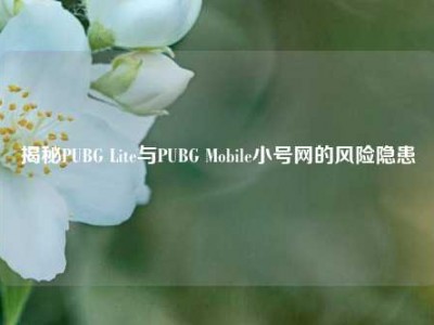 揭秘PUBG Lite与PUBG Mobile小号网的风险隐患