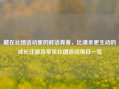 藏在社团活动里的鲜活青春，比课本更生动的成长注脚及常见社团活动项目一览