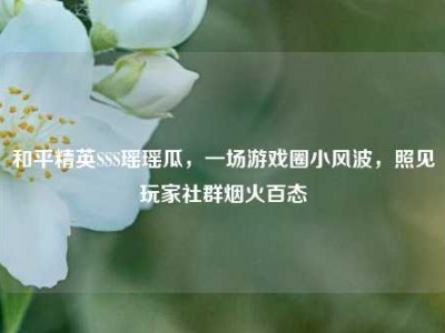 和平精英SSS瑶瑶瓜，一场游戏圈小风波，照见玩家社群烟火百态