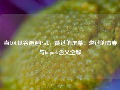当LOL峡谷邂逅Pock，戳过的屏幕、燃过的青春与lolpock含义全解