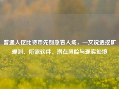 普通人挖比特币先别急着入场，一文说透挖矿规则、所需软件、潜在风险与现实处境