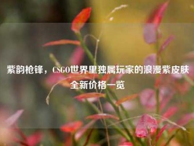 紫韵枪锋，CSGO世界里独属玩家的浪漫紫皮肤全新价格一览