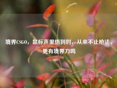 境界CSGO，鼠标声里悟到的，从来不止枪法，更有境界刀鸣