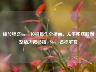 橡胶强盗Steam按键操作全指南，从手残萌新到整活大佬秘籍+Steam名称解答