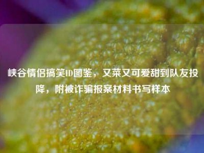峡谷情侣搞笑ID图鉴，又菜又可爱甜到队友投降，附被诈骗报案材料书写样本