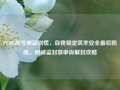 PUBG账号被盗别慌，自我锁定筑牢安全最后防线，附被盗封禁申诉解封攻略