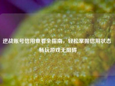 逆战账号信用查看全指南，轻松掌握信用状态 畅玩游戏无阻碍