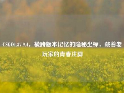 CSGO1.37.9.4，横跨版本记忆的隐秘坐标，藏着老玩家的青春注脚