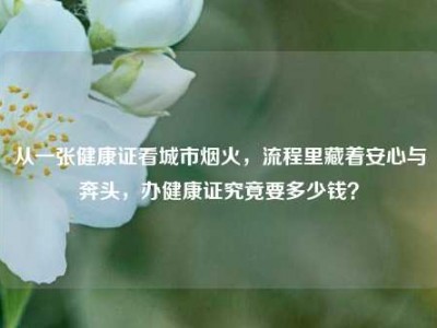 从一张健康证看城市烟火，流程里藏着安心与奔头，办健康证究竟要多少钱？