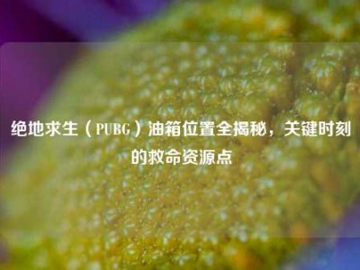 绝地求生（PUBG）油箱位置全揭秘，关键时刻的救命资源点