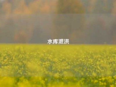 水库泄洪
