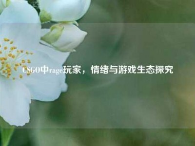 CSGO中rage玩家，情绪与游戏生态探究