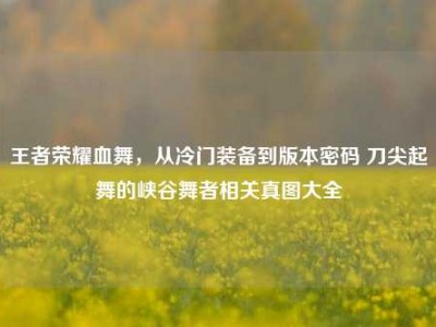 王者荣耀血舞，从冷门装备到版本密码 刀尖起舞的峡谷舞者相关真图大全