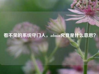 看不见的系统守门人，admin究竟是什么意思？