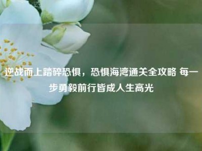 逆战而上踏碎恐惧，恐惧海湾通关全攻略 每一步勇毅前行皆成人生高光